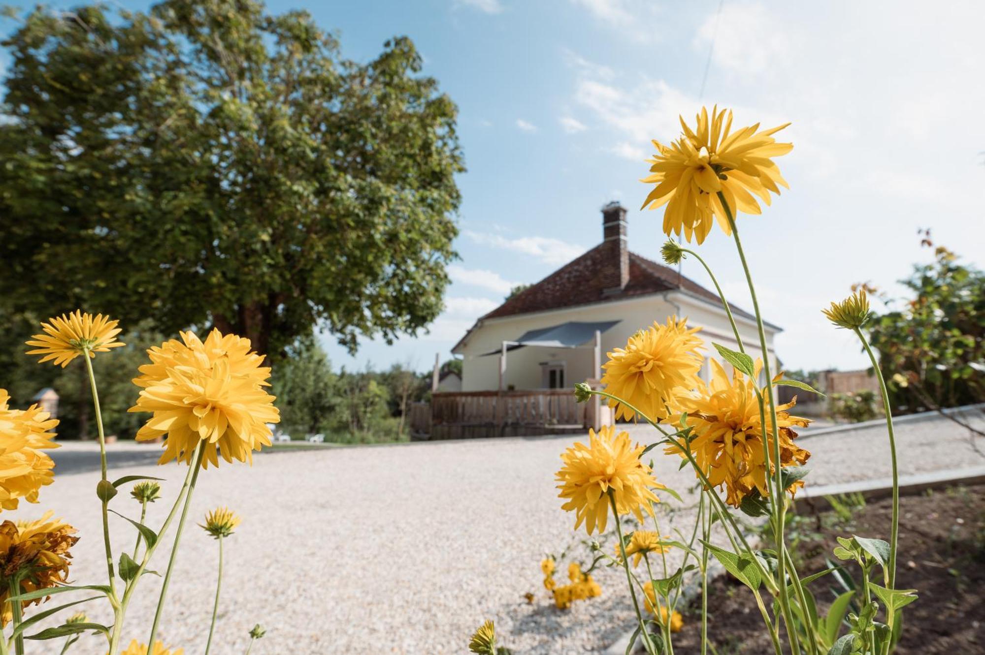 Le Prestige Des Delices Villa Dosches ภายนอก รูปภาพ